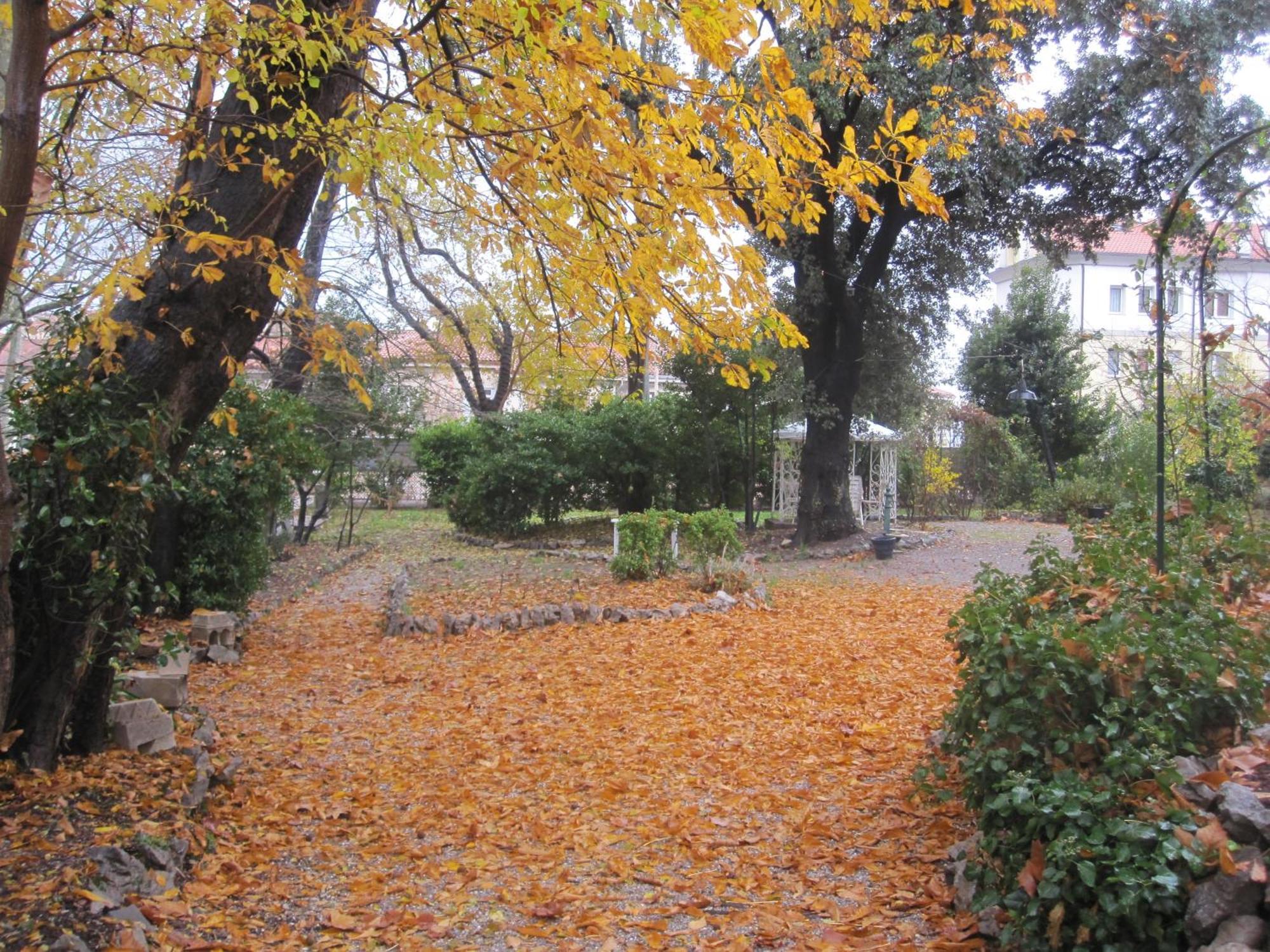 Villa Fausta B&B Trieste Dış mekan fotoğraf